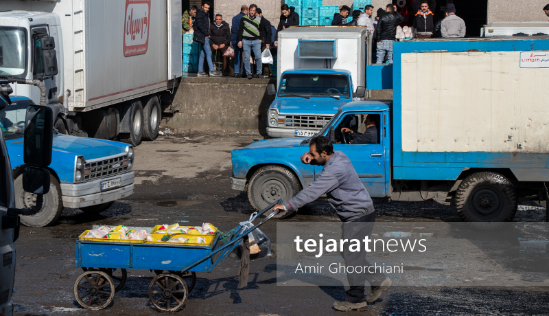 بازار مرغ تهران